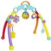 Cinqiltili oyuncaq Playgro Fold and Go Playgym