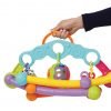 Cinqiltili oyuncaq Playgro Fold and Go Playgym 7252