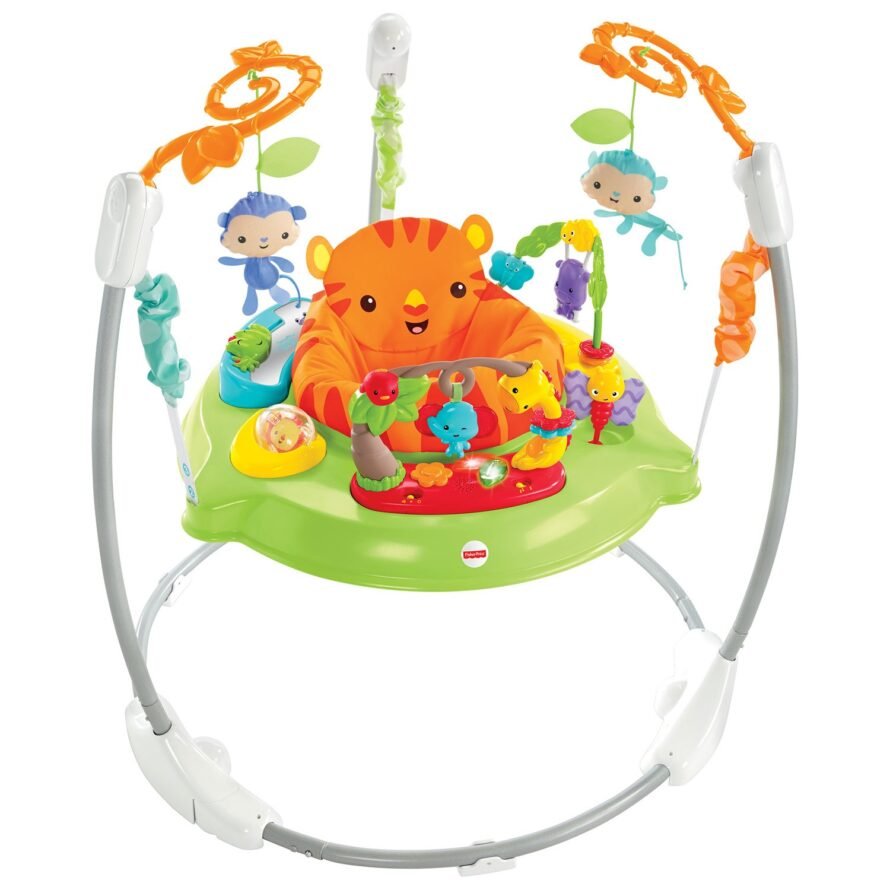 Fisher Price CHM91 Jumperoo