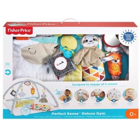 Fisher-Price Deluxe Gym — Perfect Sense GKD46